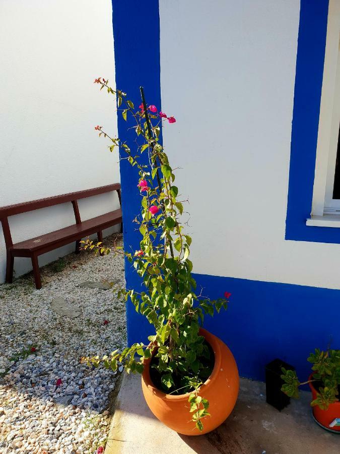 レゲンゴス・デ・モンサラーシュ Casa Do Avo Toヴィラ エクステリア 写真